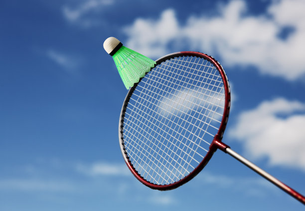 羽毛球图片下载