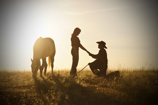 日落时分与马求婚图片下载