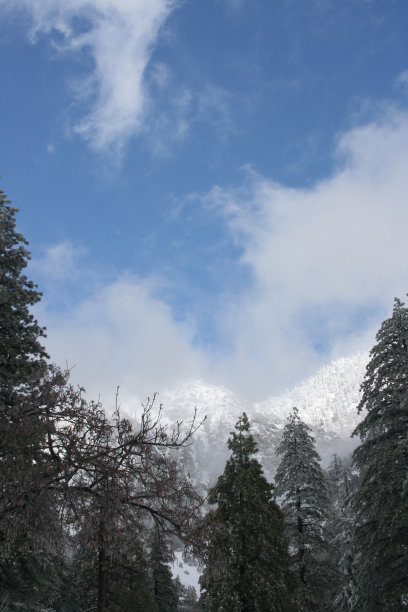 云与雪和松树图片下载