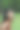女孩在公园边听边唱图片下载