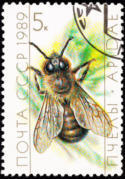 取消苏联邮票欧洲蜜蜂无人机图片下载