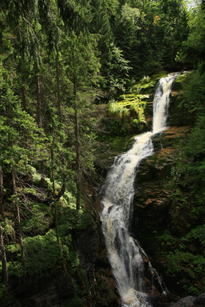 沃多斯帕图片下载