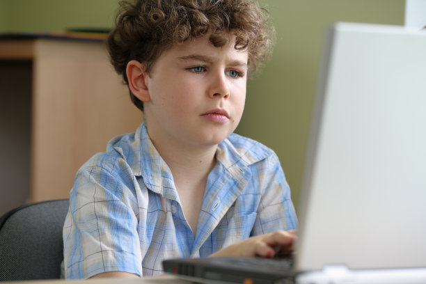 男孩使用笔记本电脑图片下载