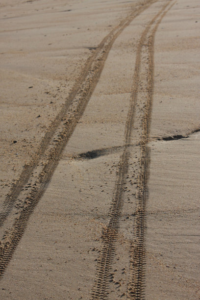 砂土上的车轮轨迹图片下载