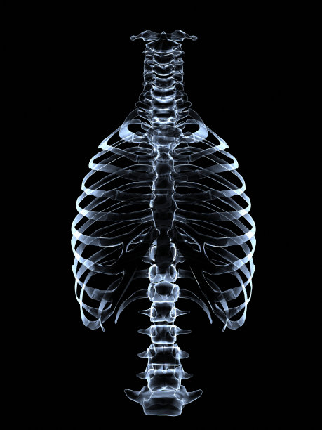 脊柱和胸部x线图片下载