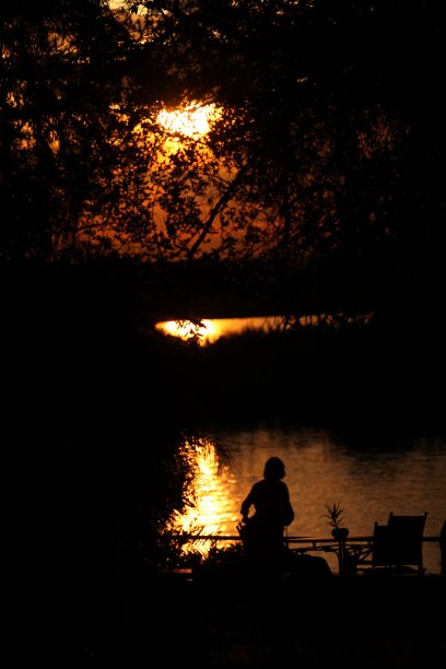 赞比西河上的日落图片下载