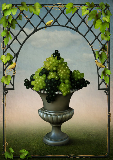 花瓶与葡萄和葡萄架图片下载