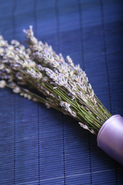 薰衣草图片下载