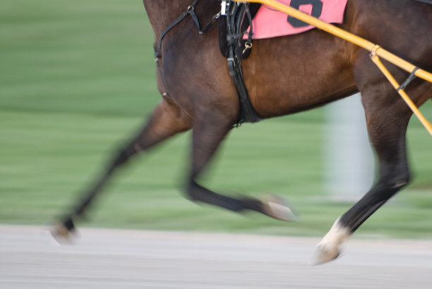 比赛开始了图片下载