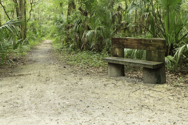 森林中的木凳图片下载