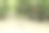 森林中的木凳图片下载