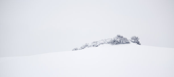 白色寂静的冬季景观图片下载