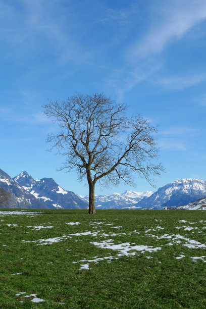 瑞士中部图片下载