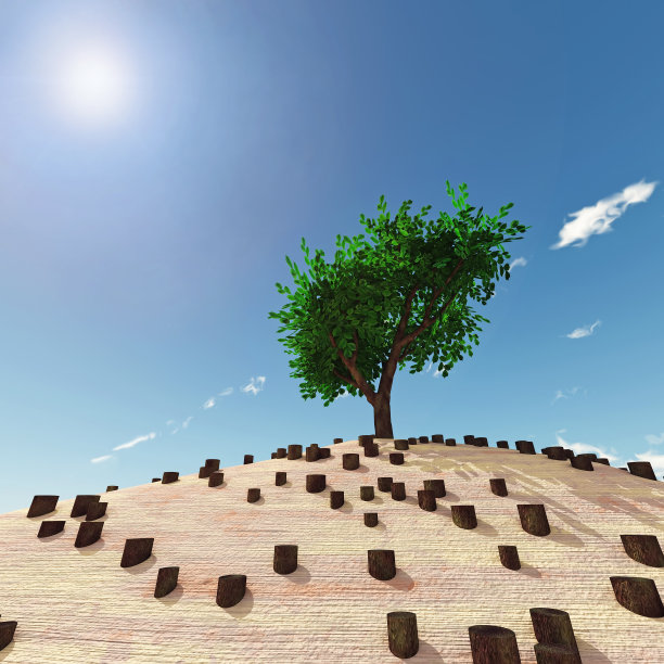 树桩中间有棵孤独的树图片下载