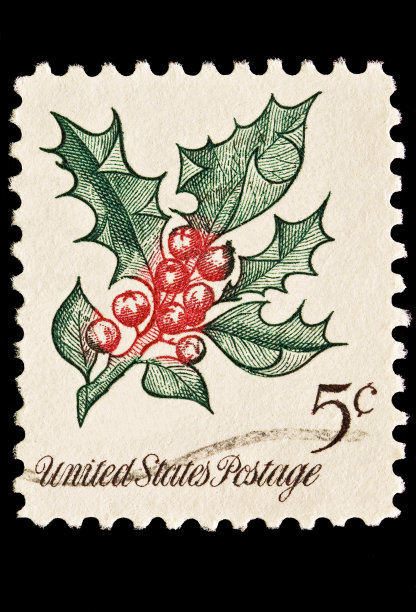 冬青圣诞特刊图片下载