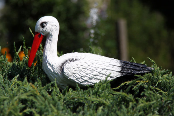 博西安图片下载