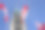 加拿大议会，和平塔，加拿大国旗图片下载