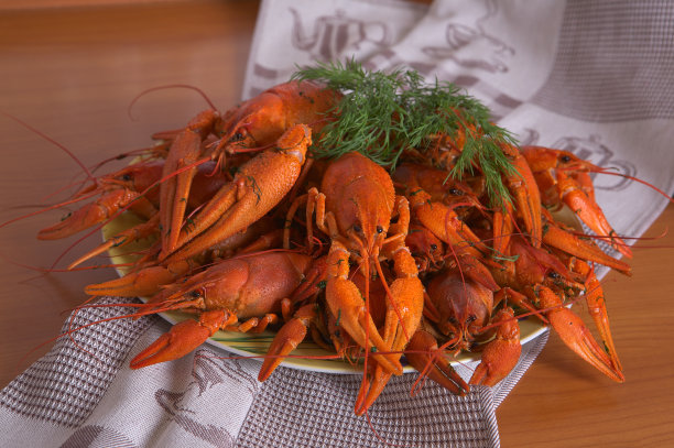 红色的小龙虾图片下载