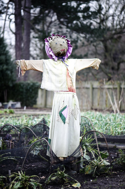 菜地里的稻草人图片下载