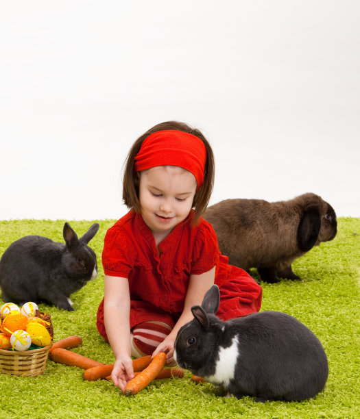 有复活节兔子的小女孩图片下载