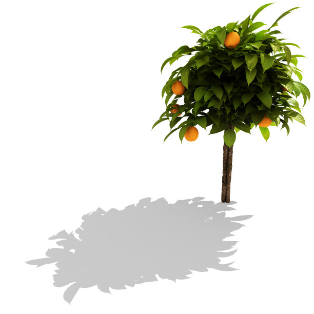 3 d渲染树图片下载