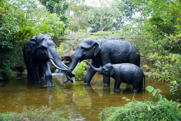 大象的家族图片下载