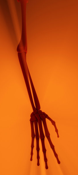 骨架的胳膊,红图片下载