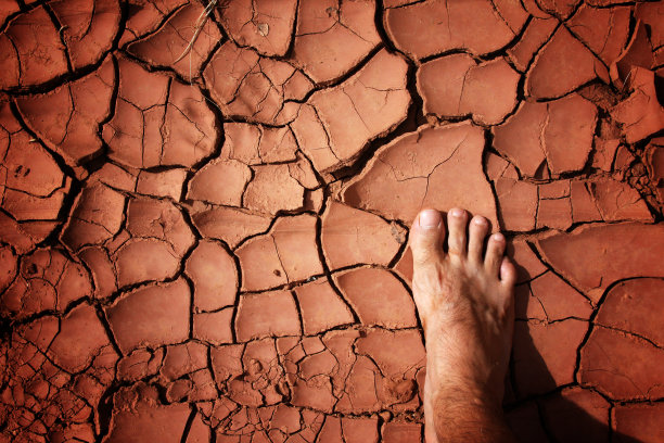 干旱的大地图片下载