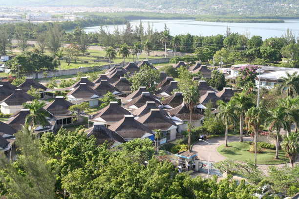 丛林村图片下载