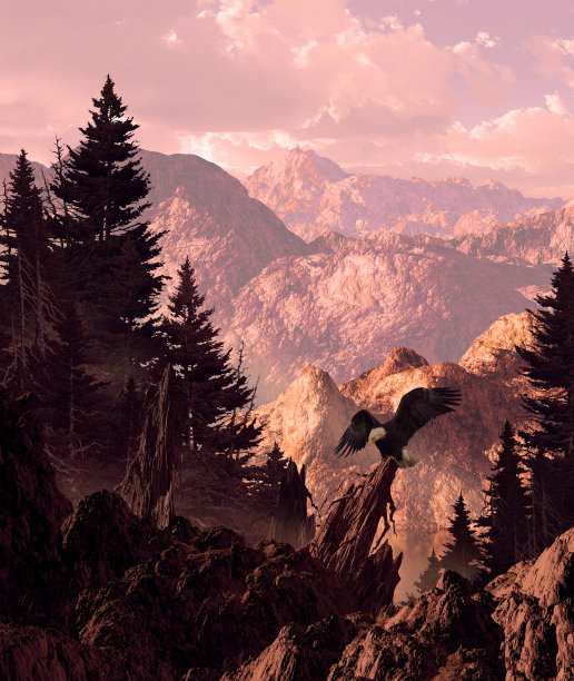 内华达山脉的秃鹰图片下载