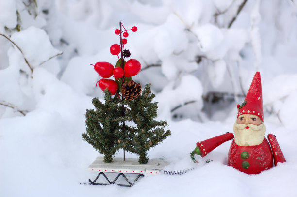 圣诞老人拉着雪橇图片下载