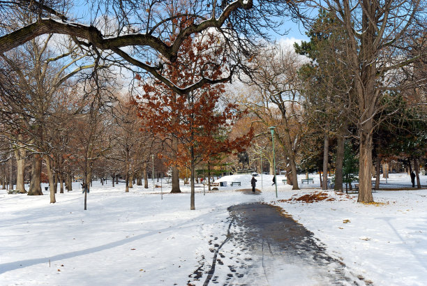 下雪天在公园里图片下载