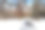 下雪天在公园里图片下载