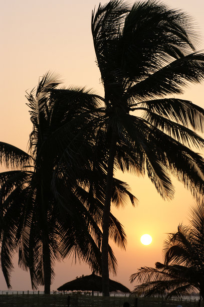 明信片来自冈比亚图片下载