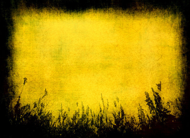 垃圾纹理-完美的背景与空间的文本图片下载