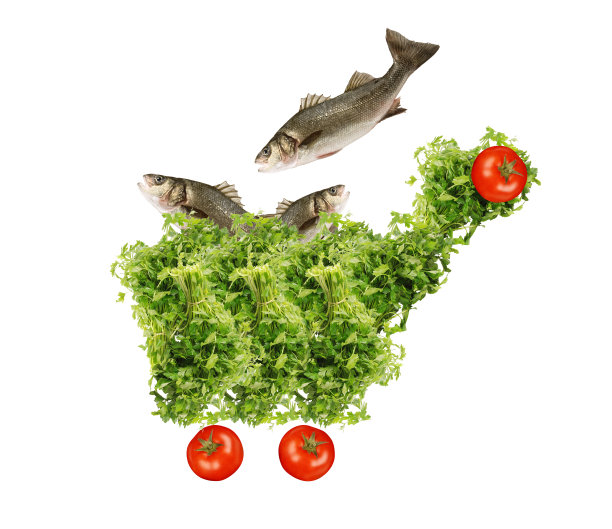 购物车图片下载