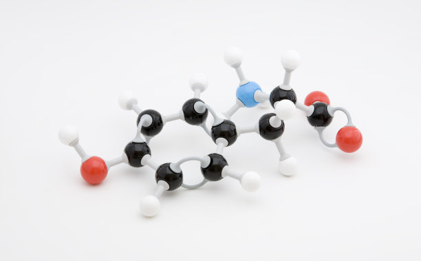 酪氨酸氨基酸分子图片下载