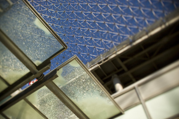 生物圈内图片下载