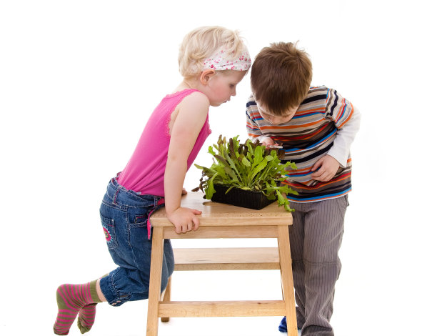 小植物学家男孩和女孩拿着放大镜图片下载