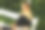 美丽的年轻女子在公园里看书图片下载