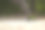 在海滩上晒太阳的吉娃娃图片下载
