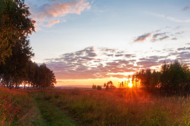 夏日田野里的日落图片下载
