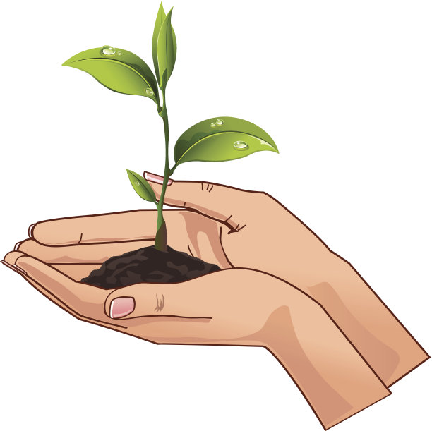 手持幼苗图片下载