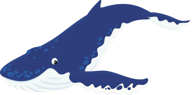 多毛的鲸鱼图片下载