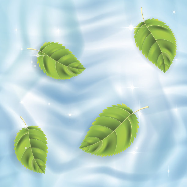 叶子在水图片下载