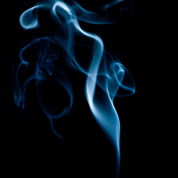 纤细的图片下载