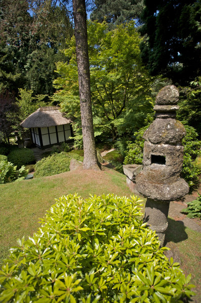 日式花园图片下载