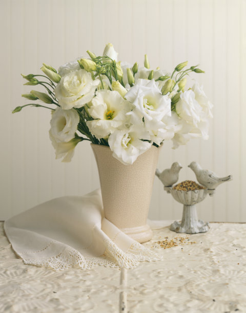 春天的花朵图片下载