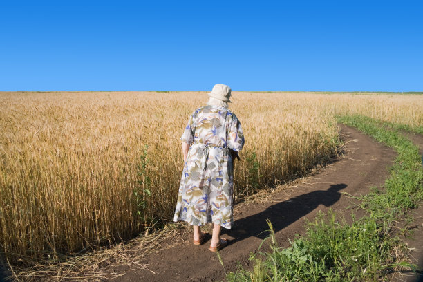 多年来图片下载