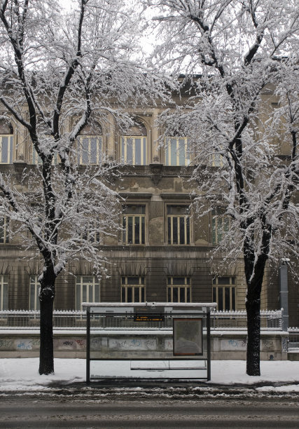 没有下雪的公共汽车图片下载